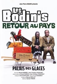 Les Bodin's - Retour au Pays (2012) FRENCH DVDRIP XVID AVI