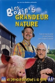 Les Bodin's  Grandeur Nature (2006) FRENCH DVDRIP XVID AVI